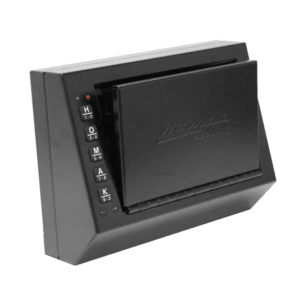 Small Electronic Pistol Box